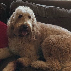 Meet your Posher, Phyllis